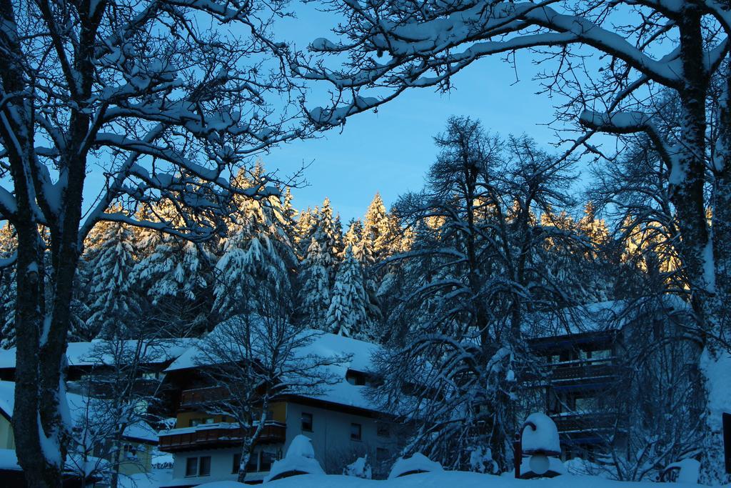 Gasthof Schwarzwaldtanne Ξενοδοχείο Schönwalde Εξωτερικό φωτογραφία