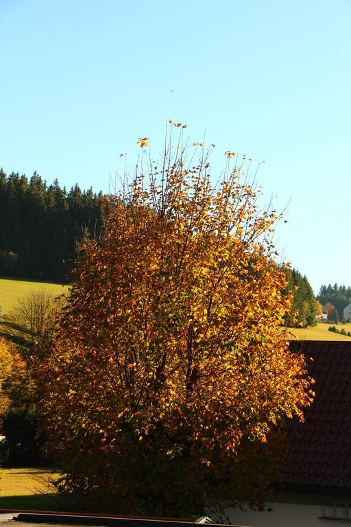 Gasthof Schwarzwaldtanne Ξενοδοχείο Schönwalde Εξωτερικό φωτογραφία