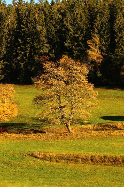 Gasthof Schwarzwaldtanne Ξενοδοχείο Schönwalde Εξωτερικό φωτογραφία